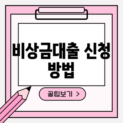 비상금대출 신청 방법