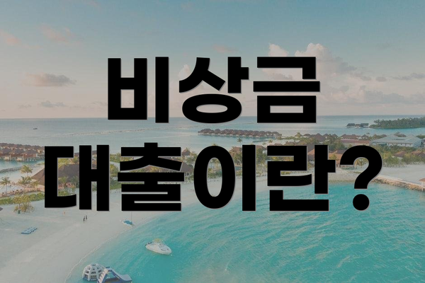 비상금 대출이란?