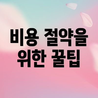 비용 절약을 위한 꿀팁