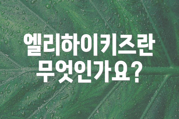 엘리하이키즈란 무엇인가요?