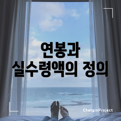 연봉과 실수령액의 정의