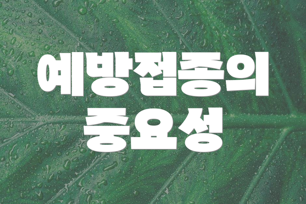 예방접종의 중요성