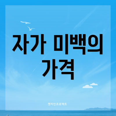 자가 미백의 가격