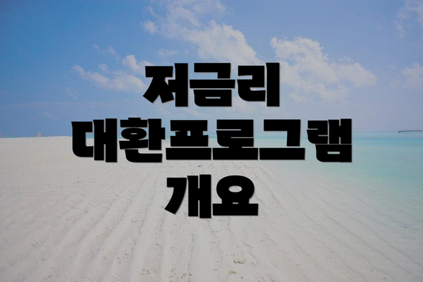 저금리 대환프로그램 개요