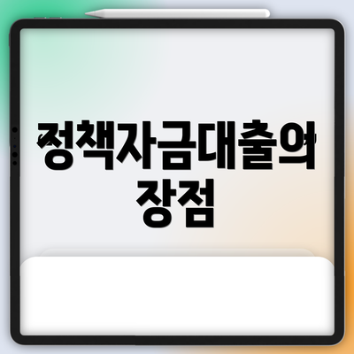 정책자금대출의 장점