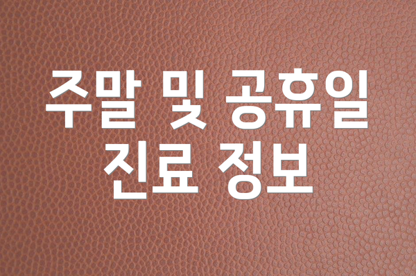 주말 및 공휴일 진료 정보