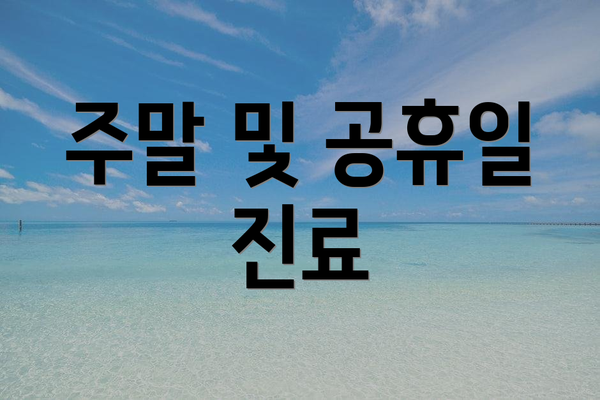 주말 및 공휴일 진료