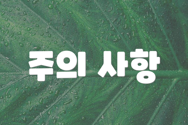 주의 사항