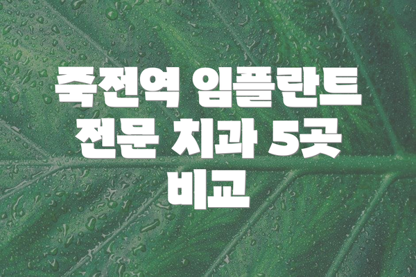 죽전역 임플란트 전문 치과 5곳 비교