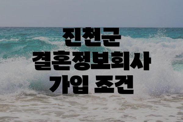 진천군 결혼정보회사 가입 조건