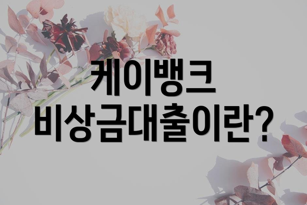 케이뱅크 비상금대출이란?