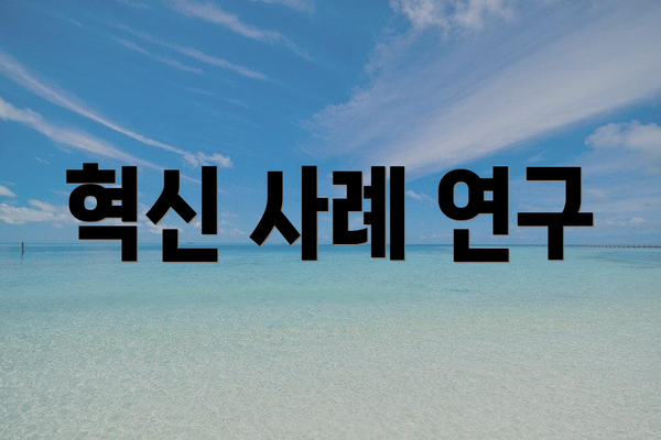 혁신 사례 연구