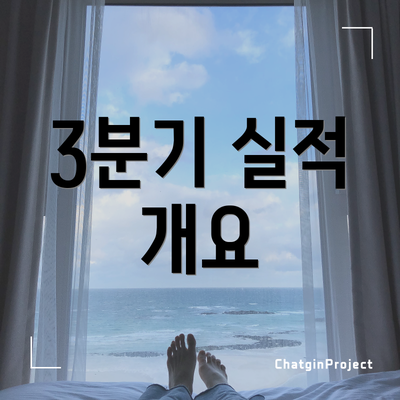 3분기 실적 개요