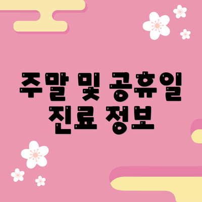 주말 및 공휴일 진료 정보