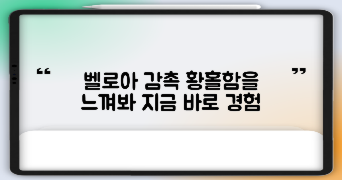 벨로아 감촉, 느껴보세요!