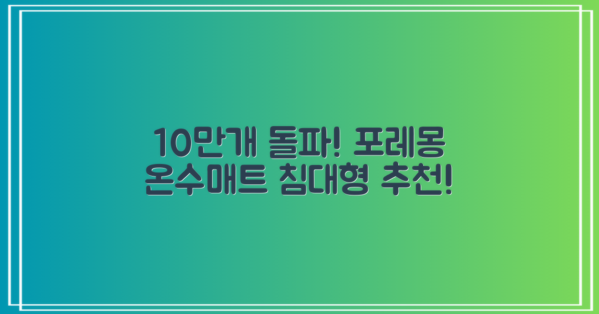 [10만개 판매돌파] 포레몽 온수매트 침대형 BTM-501S, 미니(800x1800mm) 추천 리뷰