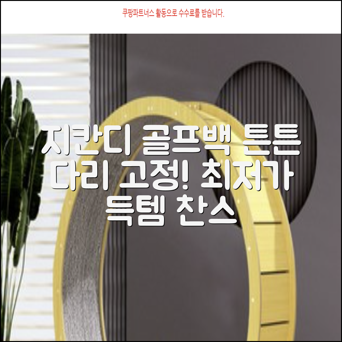 지칸디 골프 스탠드백 레그홀더 다리고정 바닥 지지대, 블랙 추천 리뷰